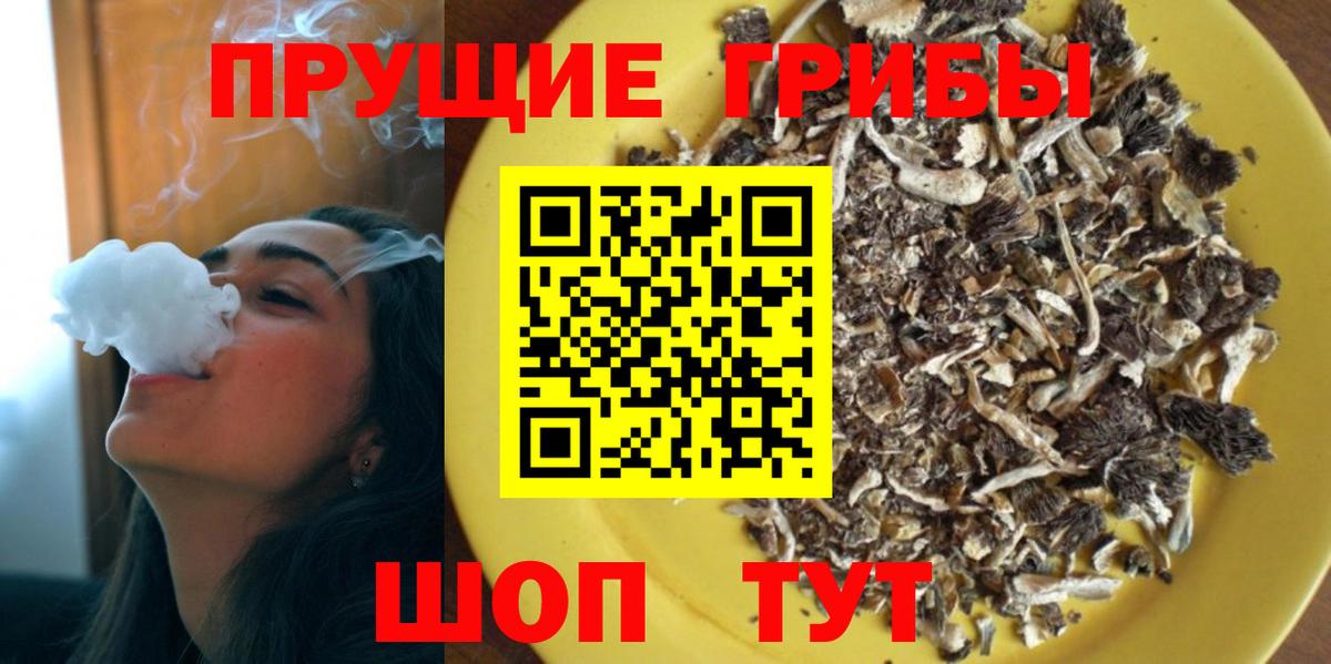 где купить наркотик  Галлюциногенные грибы MAGIC MUSHROOMS  Вход с VPN  Бахчисарай 